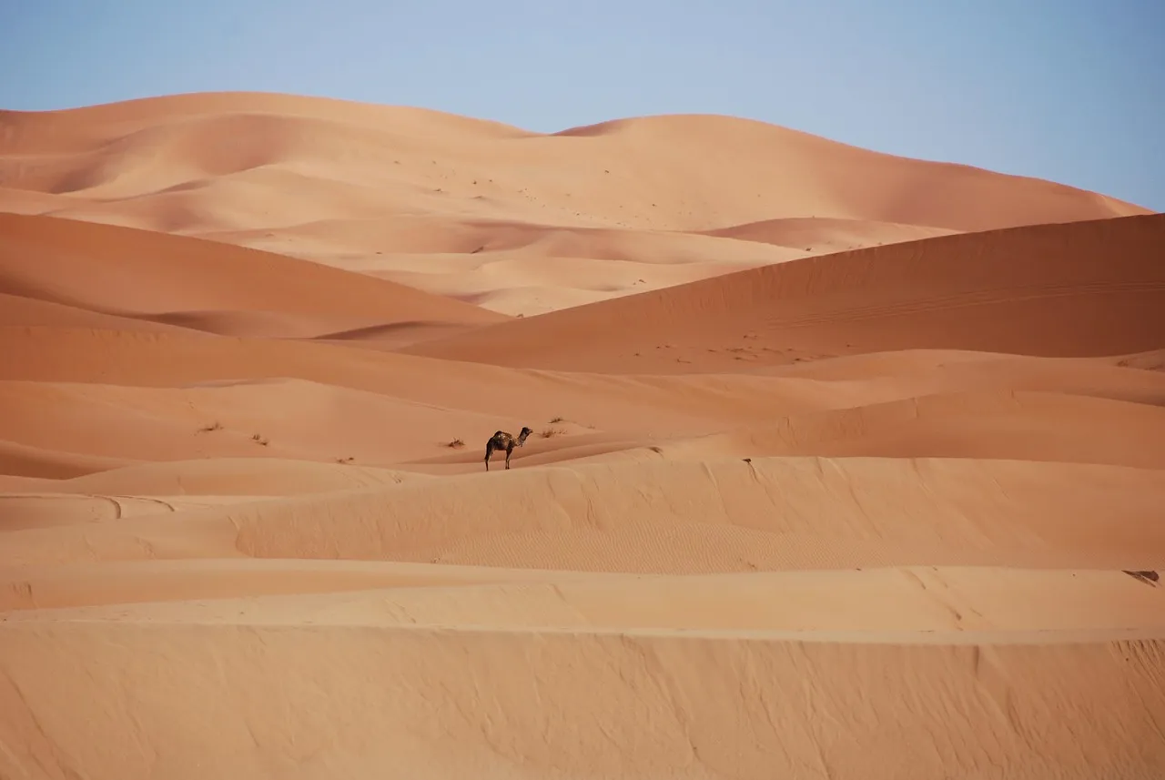 ETIAS for US Citizens Traveling to Morocco: Your Essential Guide
